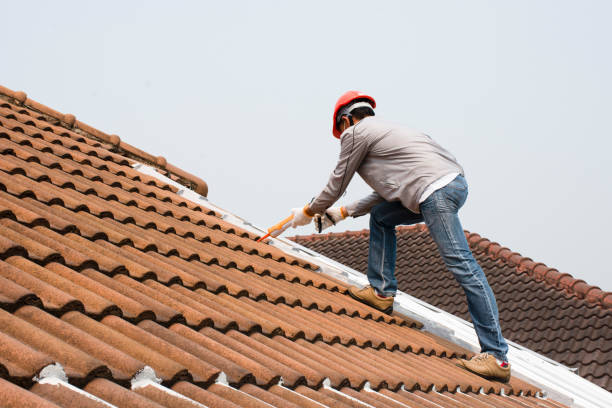 Best Roof Maintenance and Cleaning  in South Miami, FL